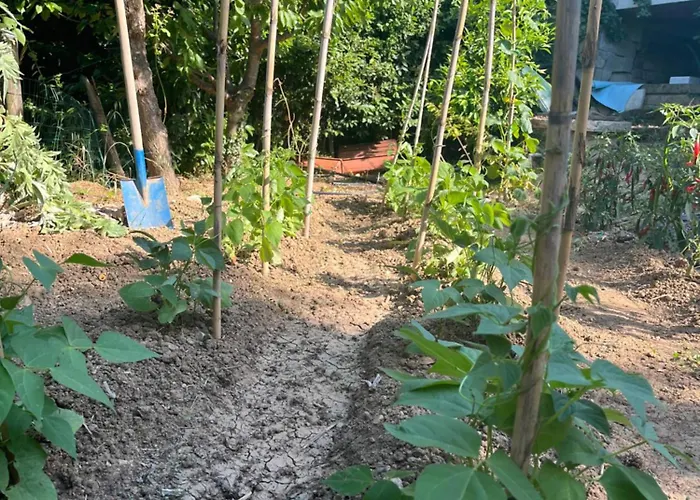 Bed and breakfast Sinilu 4*